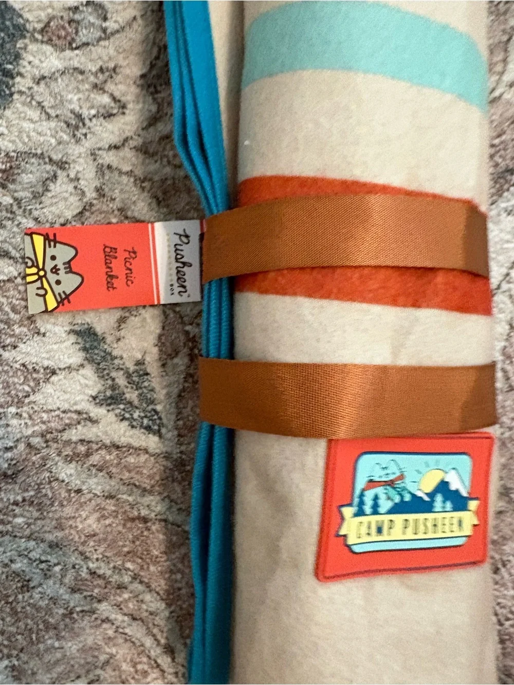 New Pusheen Picnic Blanket with Carrying Straps From Summer 2020 Box Exclusive